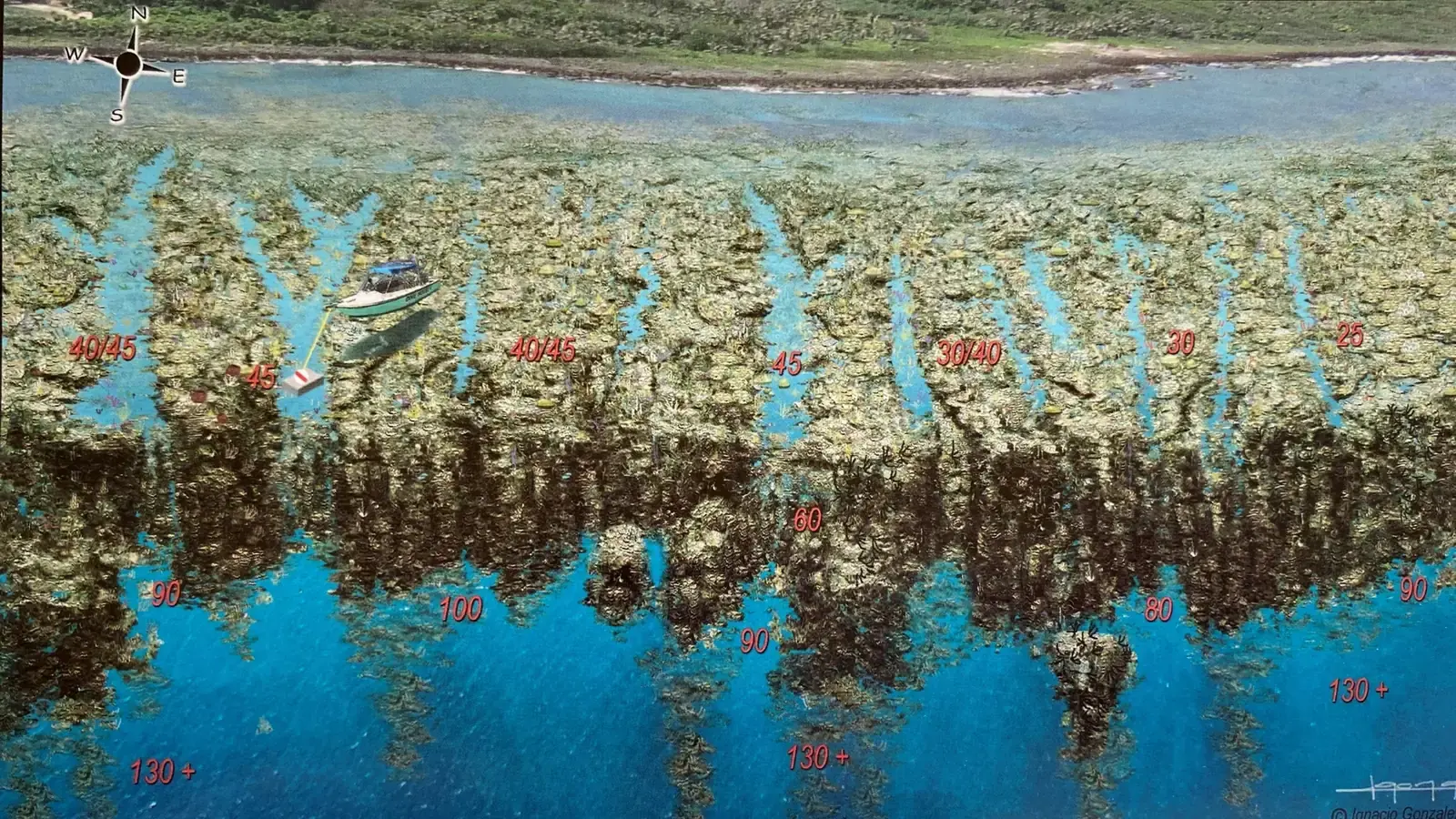 Media Luna - Caribe Point - Roatan Snorkeling Map