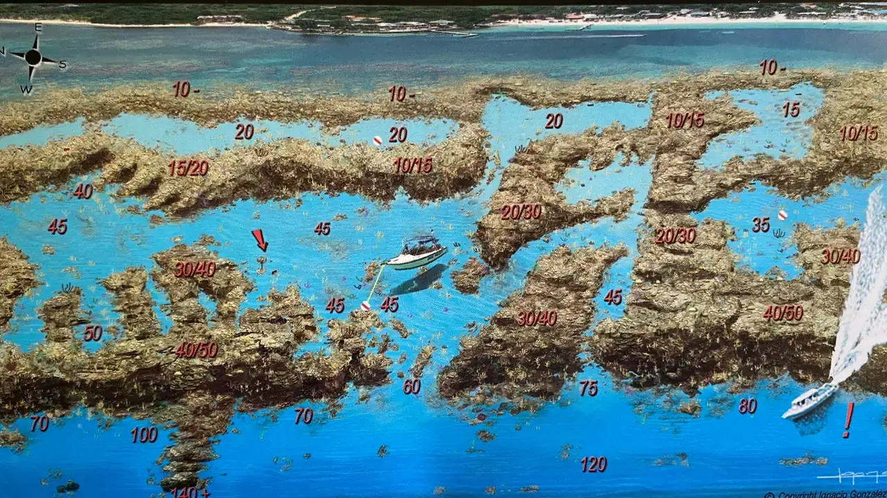 West Bay - Butcher's Bank - Chloes Coral - Bill Perkins Peace - West Bay Beach - West Bay Beach Snorkeling Map