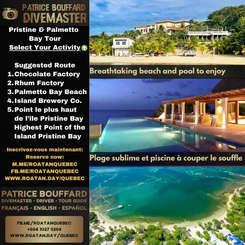 A Picture of Pristine Bay and Palmetto Bay Tour