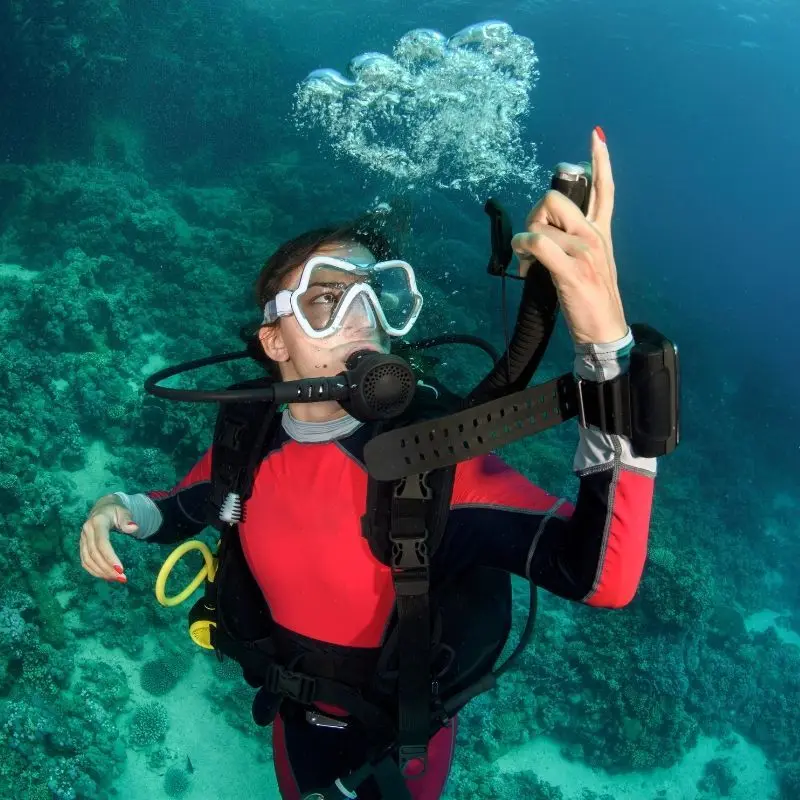 Affordable Roatan Dive Packages West Bay From 1 to ∞ Dives 2
