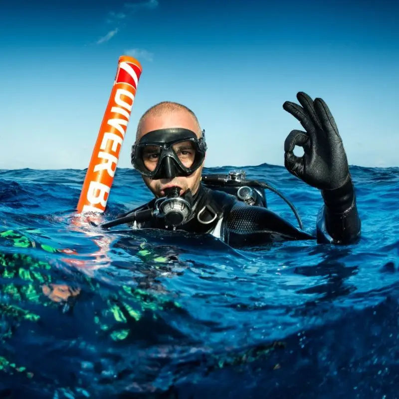 Affordable Roatan Dive Packages West Bay From 1 to ∞ Dives