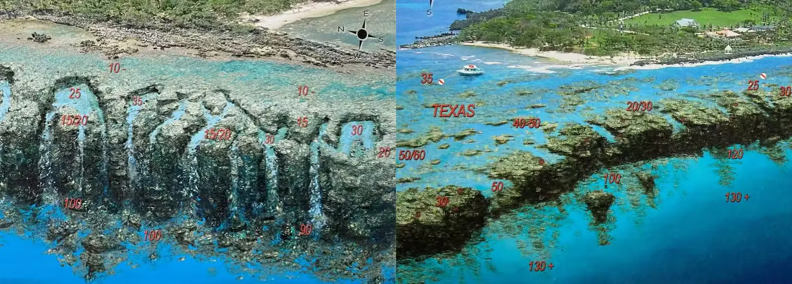 Les sites de plongée de Black Rock et Texas – The Iron Shore