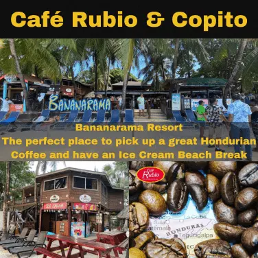 Café Rubio et crème glacée Copito Roatan