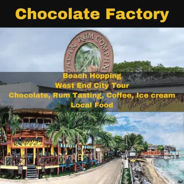 Fabrique de chocolat et compagnie de rhum