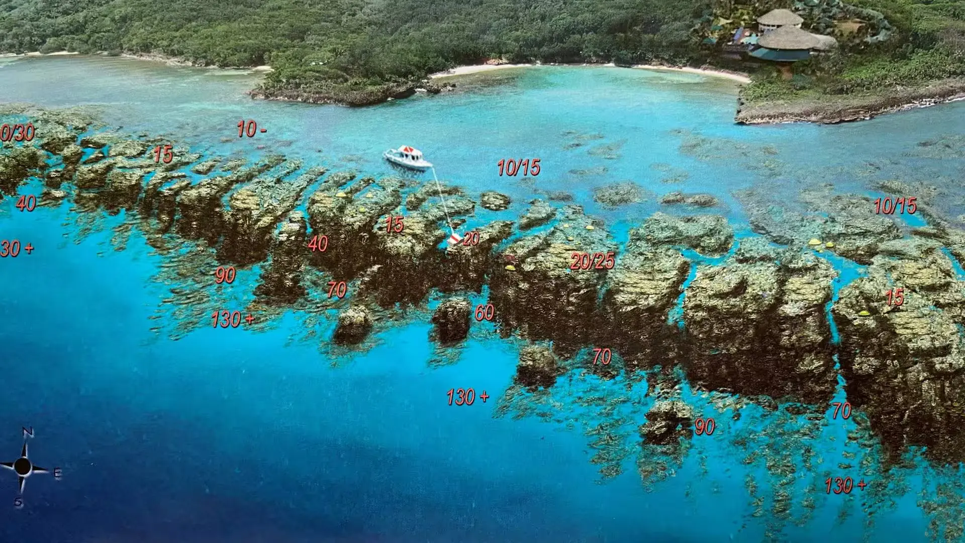 The Best All-Included Media Luna Day Pass of Roatan - The Bay Islands of Honduras Shore Snorkeling Dive Site