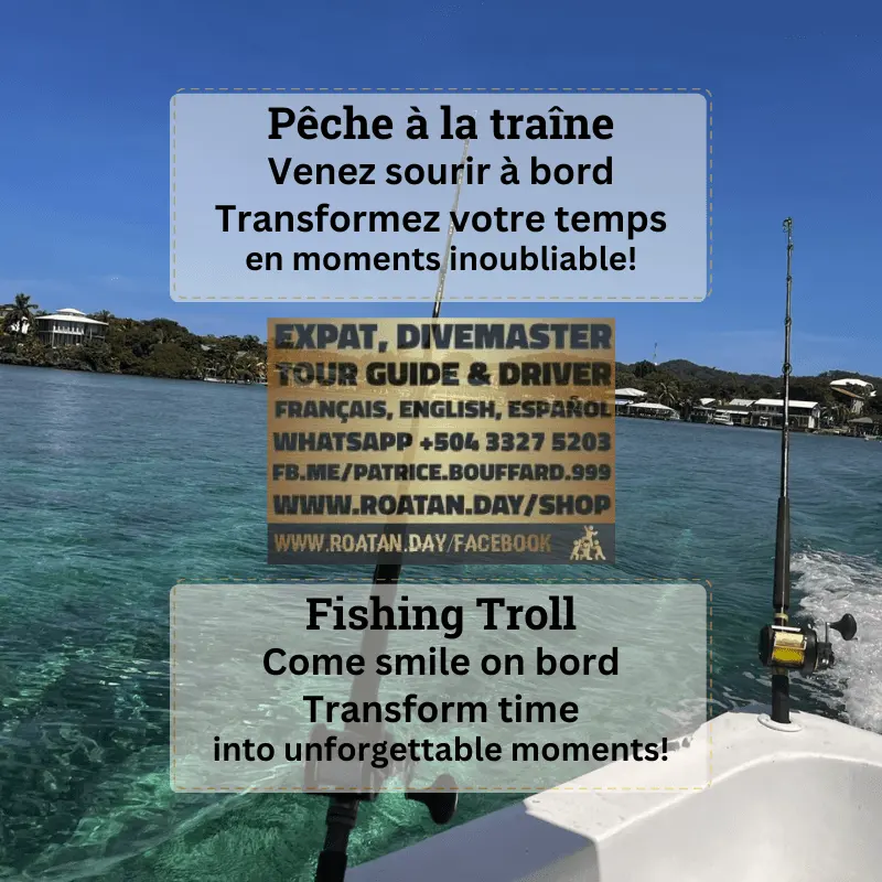 Fishing Troll