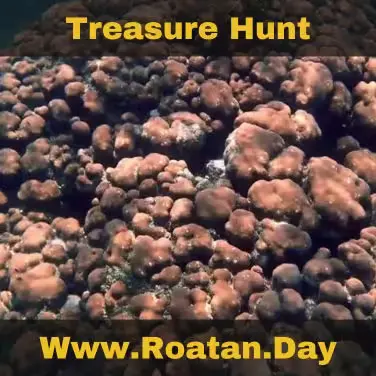 Fort Morgan Key Snorkeling Treasure Hunting