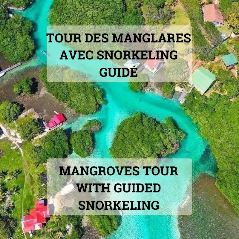Navigate the Pirate-Forged Mangrove Tunnel - Options: Animal Parks ( Sloths, Macaw, Monkeys ) - Snorkeling - Lunch Break - Pirate History - Image 2