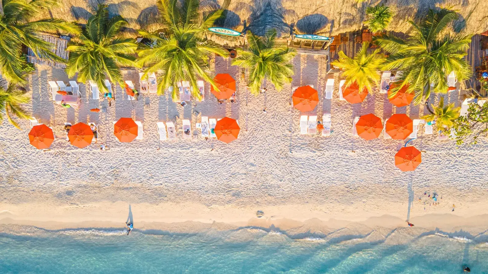 Excursions de plage privées des ports de Roatán
