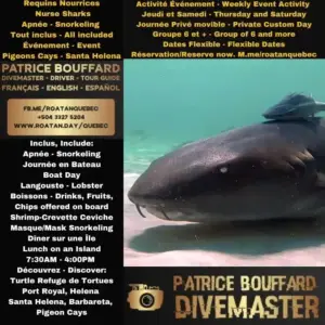 Pigeon Cay - Nurse Sharks Snorkeling - Full Day Boat Trip - Private Boat Charter Available 1 to 6 Persons - Maximum 25