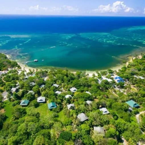 Palmetto Bay Resort Roatan Shore Excursions on a Cruise 2024 Aerial View