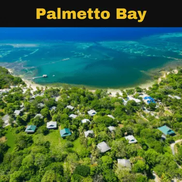 Palmetto Bay Tour