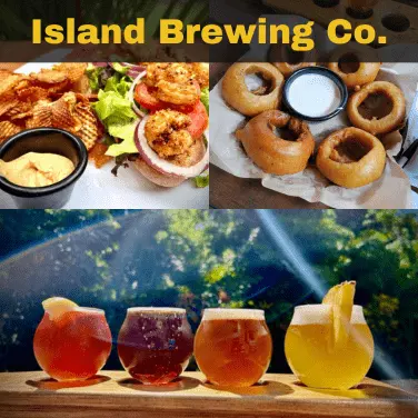 Palmetto Valley Island Brewing Co Craft Beer on Tap