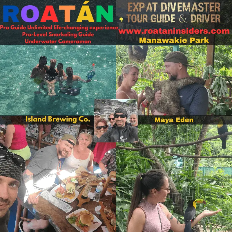 Roatan Insiders Pro-Level Snorkeling Guide - Divemaster - Underwater Cameraman Tour Guide