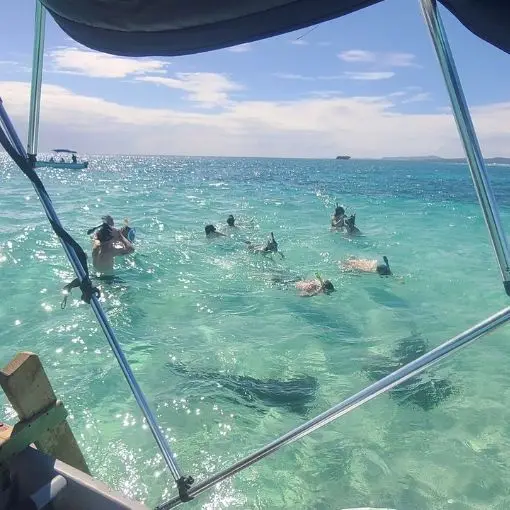 Snorkeling with Nurse Sharks at Pigeon Cay Roatan Shore Excursions on a Cruise 2024 Aerial View