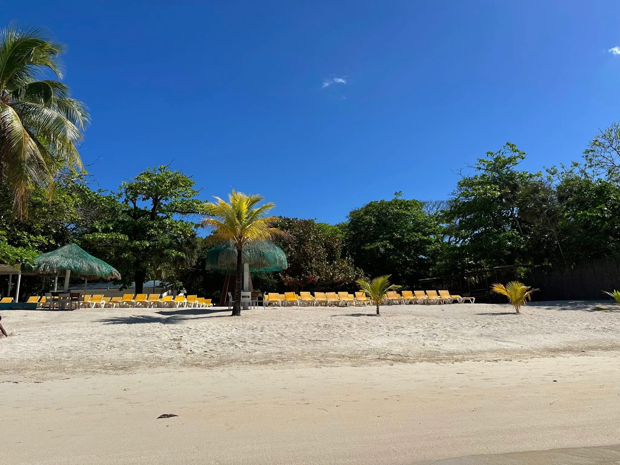 Sol Y Mar Beach Club Roatan open-air bar and shaded dining area on the beach