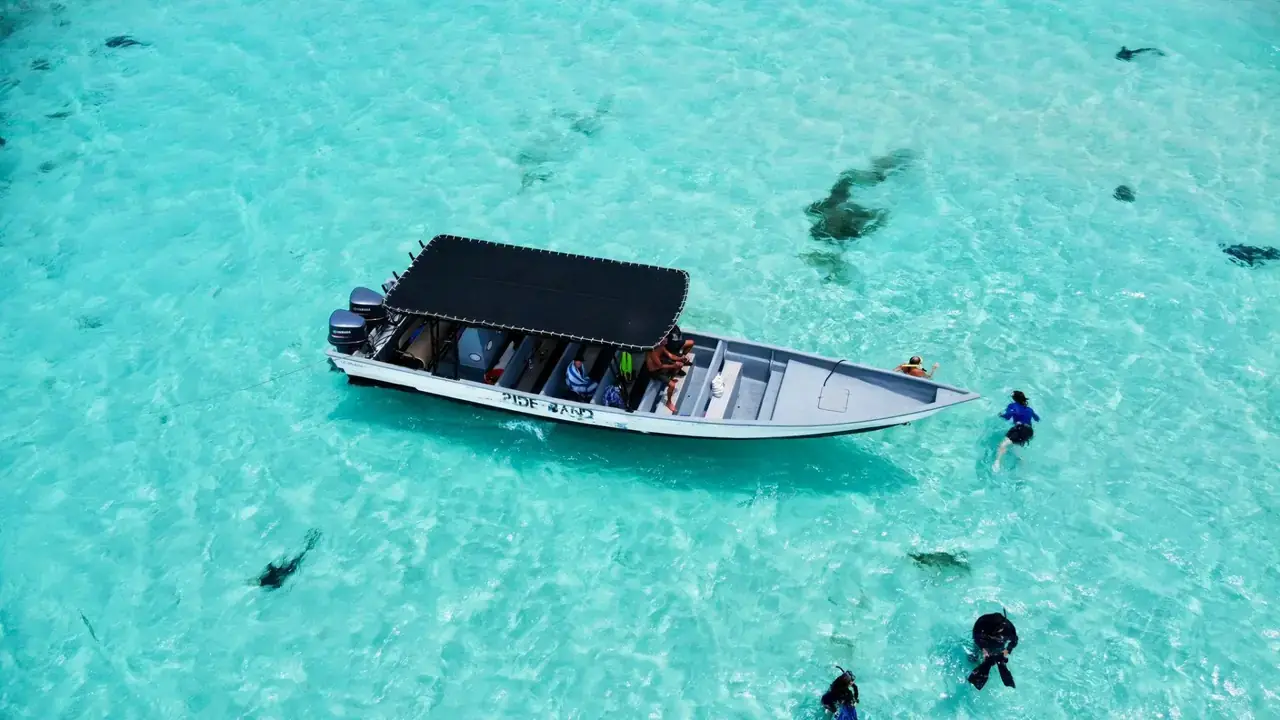 Tablette Roatán Pigeon Cay la meilleure excursion de plongée libre avec les requins-nourrices des Îles de la Baie du Honduras une vraie excursion tour complet de l'île bateau privé disponible