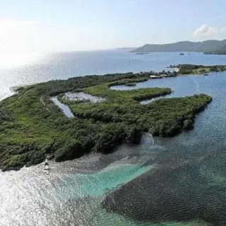 Tour des Mangroves de Fort Morgan Cay