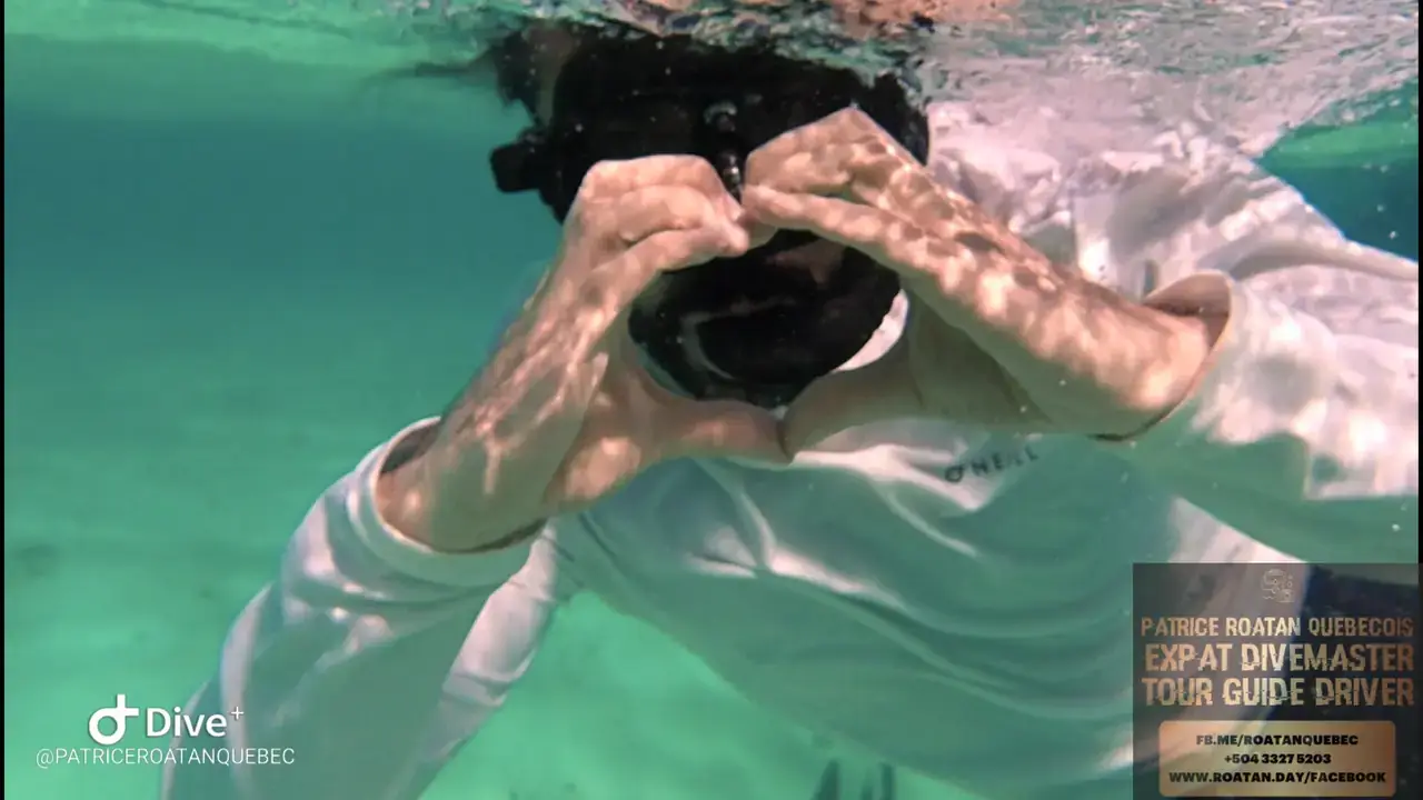 West Bay Snorkeling Tours