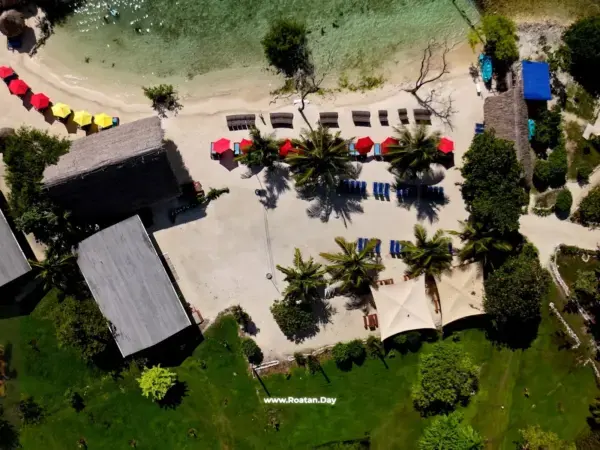 Pristine Bay - Palmetto Bay Tour - Options: Animal Parks ( Sloths, Macaw, Monkeys ) - Snorkeling - Island Brewery Co - Image 3