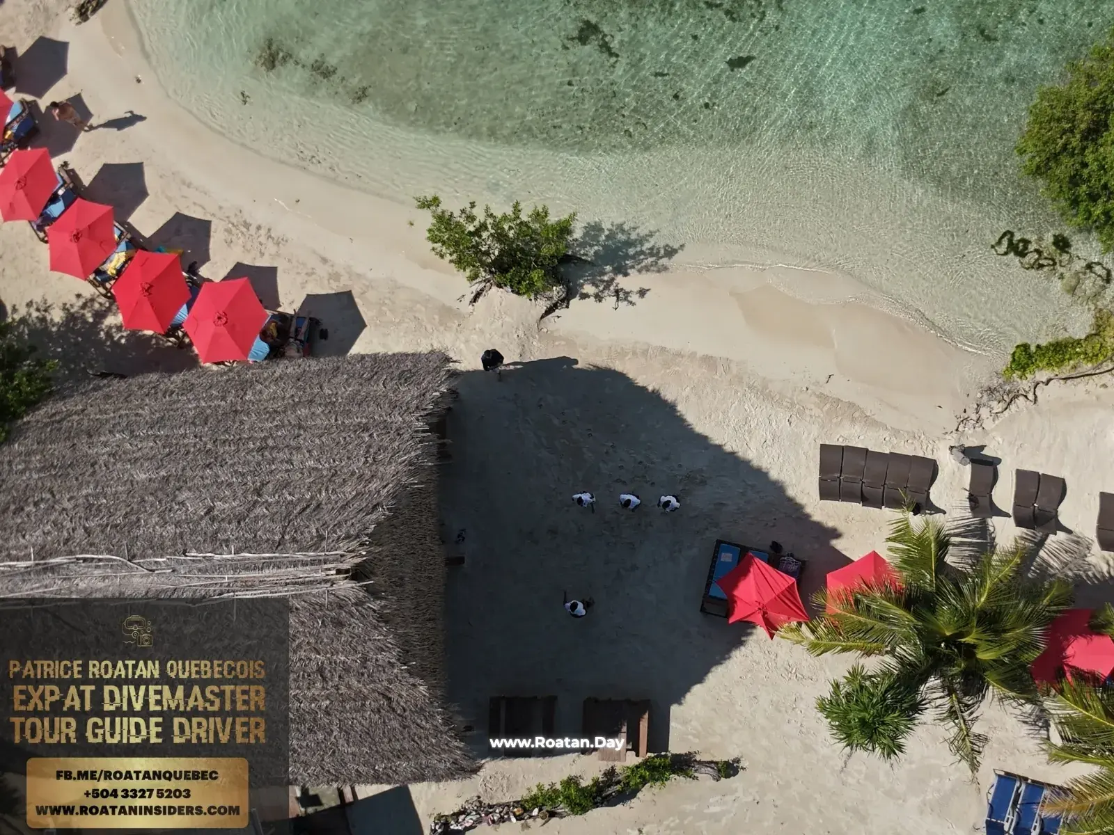 #1 Luxury Beach Club Roatan | Island Brewery & Shore Coral Reef Snorkeling - Image 4
