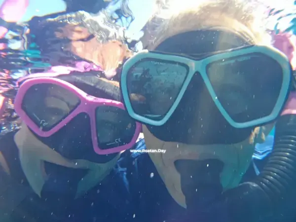 Pristine Bay - Palmetto Bay Tour - Options: Animal Parks ( Sloths, Macaw, Monkeys ) - Snorkeling - Island Brewery Co - Image 5