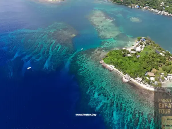 Pristine Bay - Palmetto Bay Tour - Options: Animal Parks ( Sloths, Macaw, Monkeys ) - Snorkeling - Island Brewery Co