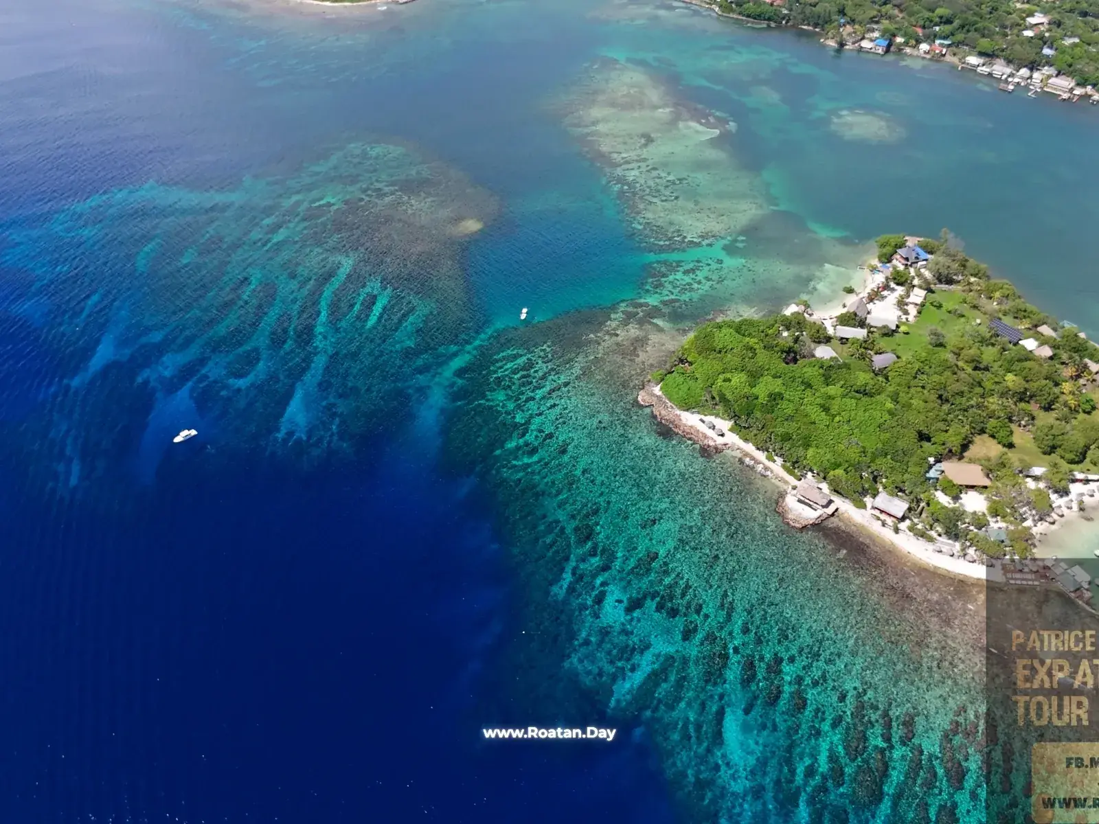 Pristine Bay - Palmetto Bay Tour - Options: Animal Parks ( Sloths, Macaw, Monkeys ) - Snorkeling - Island Brewery Co