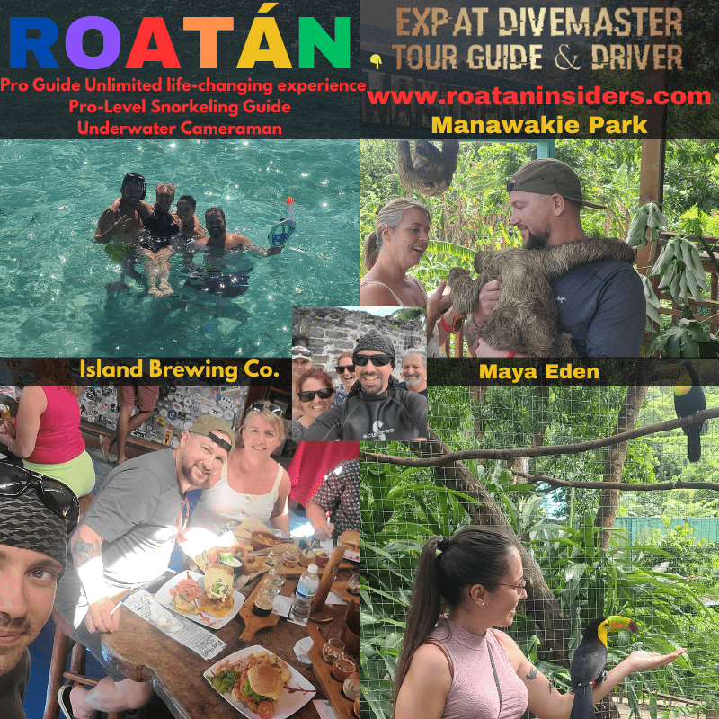 Roatan Insiders Pro-Level Snorkeling Guide - Divemaster - Underwater Cameraman Tour Guide Roatan Insiders Pro-Level Snorkeling Guide - Divemaster - Underwater Cameraman Tour Guide