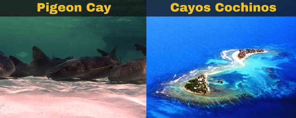 an Image of Pigeon Cay and Cayos Cochinos Tours an Image of Pigeon Cay and Cayos Cochinos Tours
