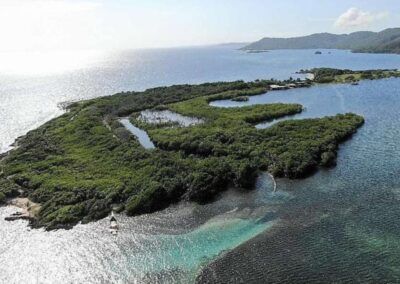 The Best Snorkeling Tour at Fort Morgan Cay after Visiting the Mangrove Tunnels of Jonesville (2)