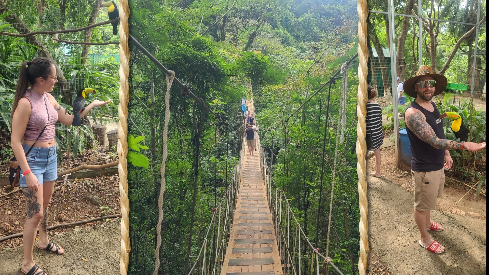 Des amis avec des toucans et sur le pont suspendu de Mayan Eden Des amis avec des toucans et sur le pont suspendu de Mayan Eden