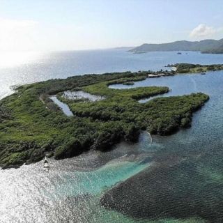 Tour des Mangroves de Fort Morgan Cay
