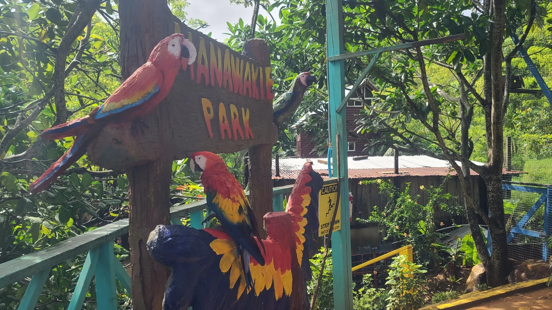 Un perroquet devant l enseigne du Parc Manawakie Un perroquet devant l enseigne du Parc Manawakie