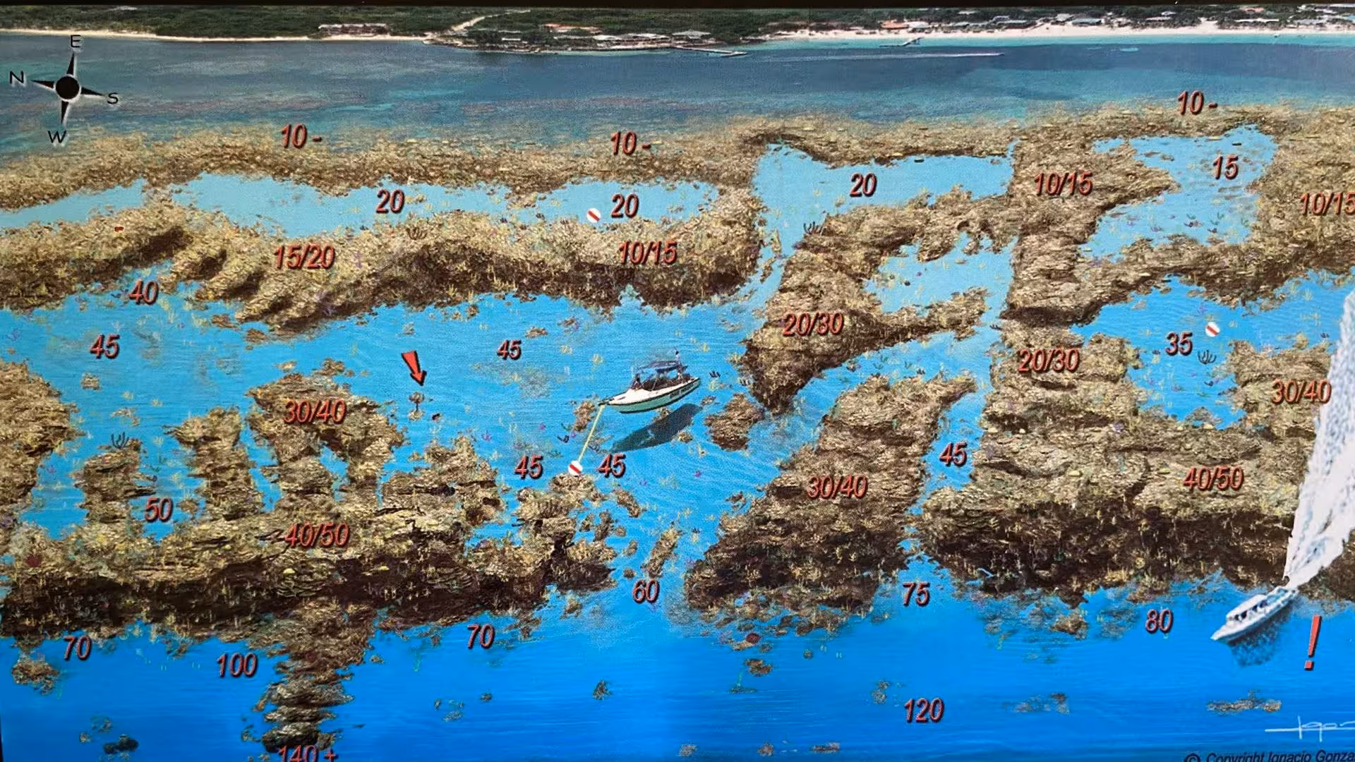 The Best All-Included Henry Morgan Day Pass of Roatan - The Bay Islands of Honduras Dive Site