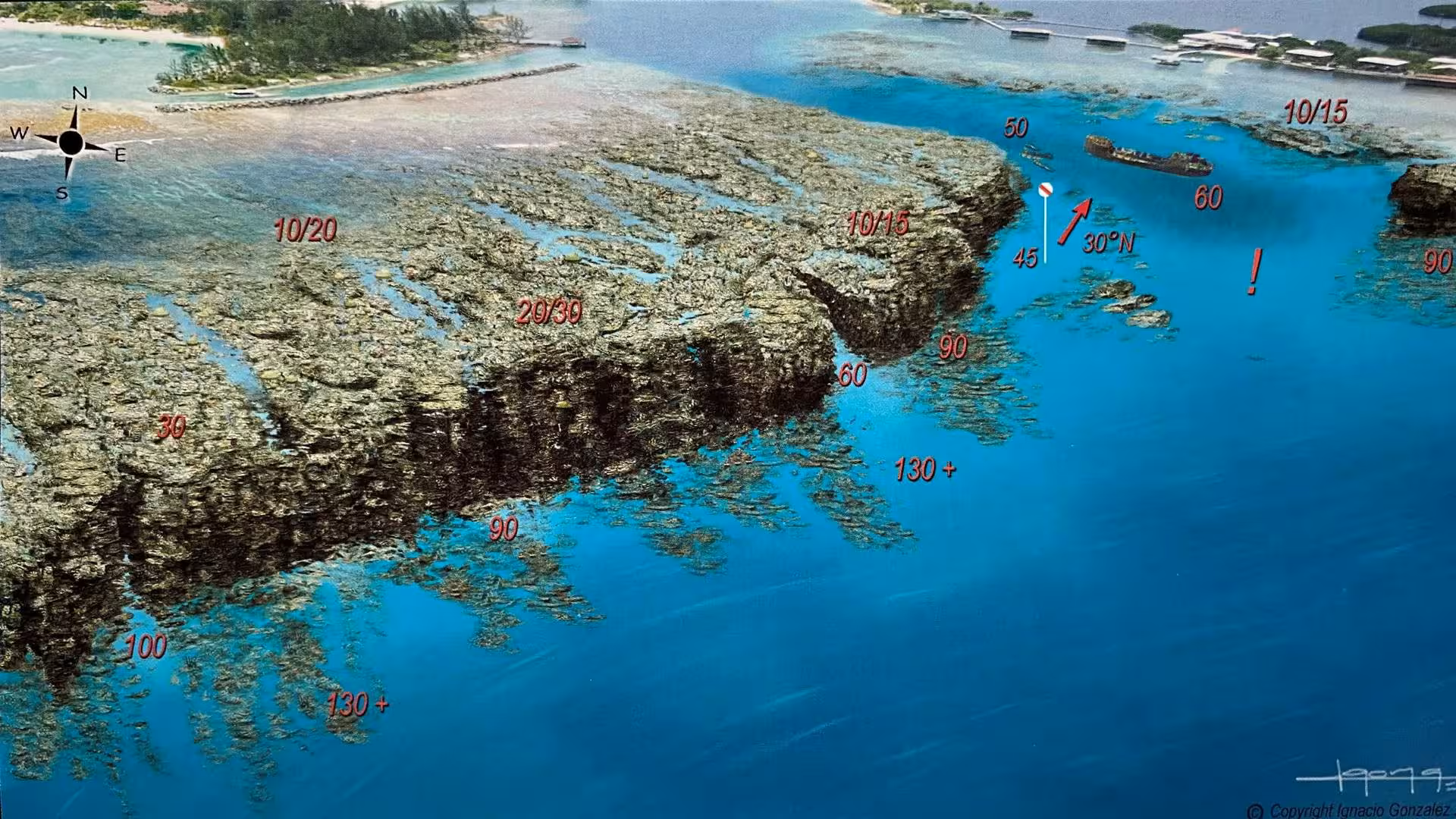 The Best All-Included Day Pass of Roatan - The Bay Islands of Honduras Fantasy Island Dive Site