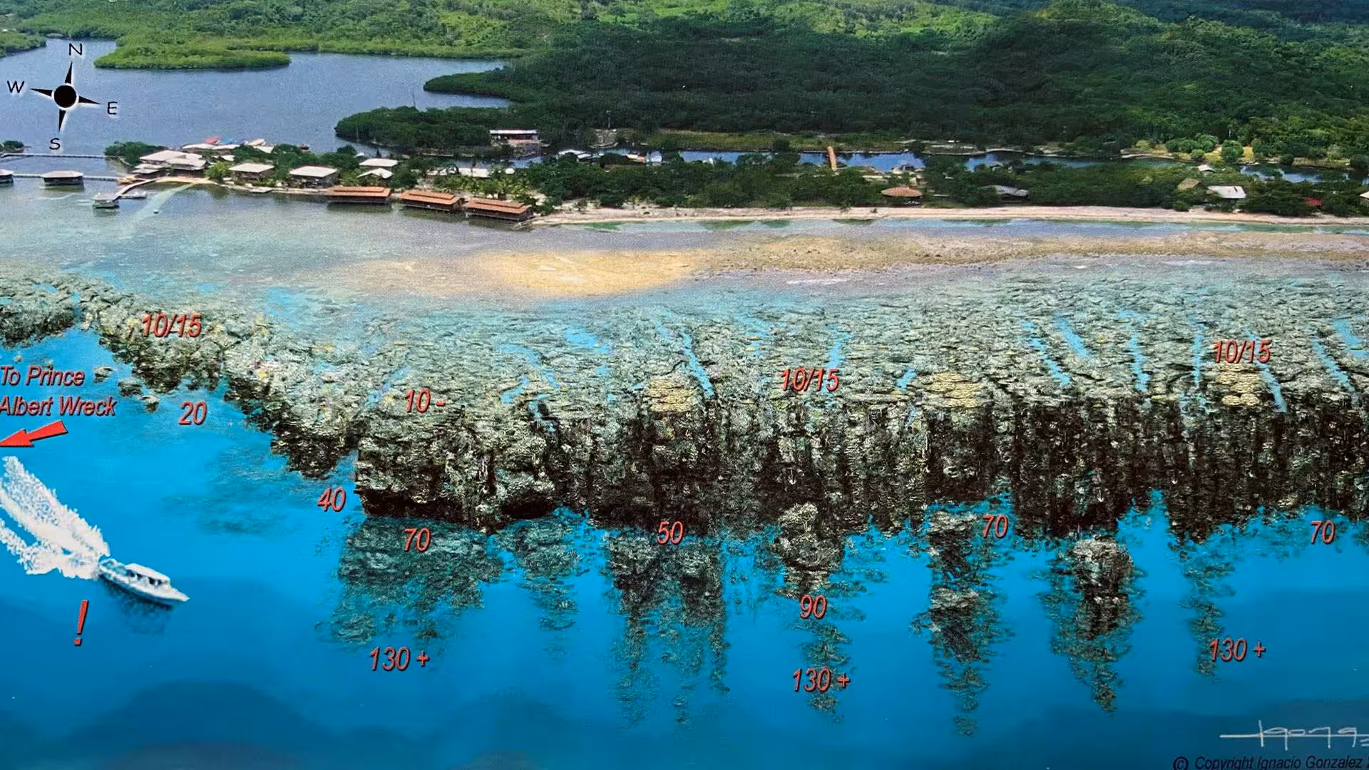 The Best All-Included Day Pass of Roatan - The Bay Islands of Honduras CocoView Resort Dive Site