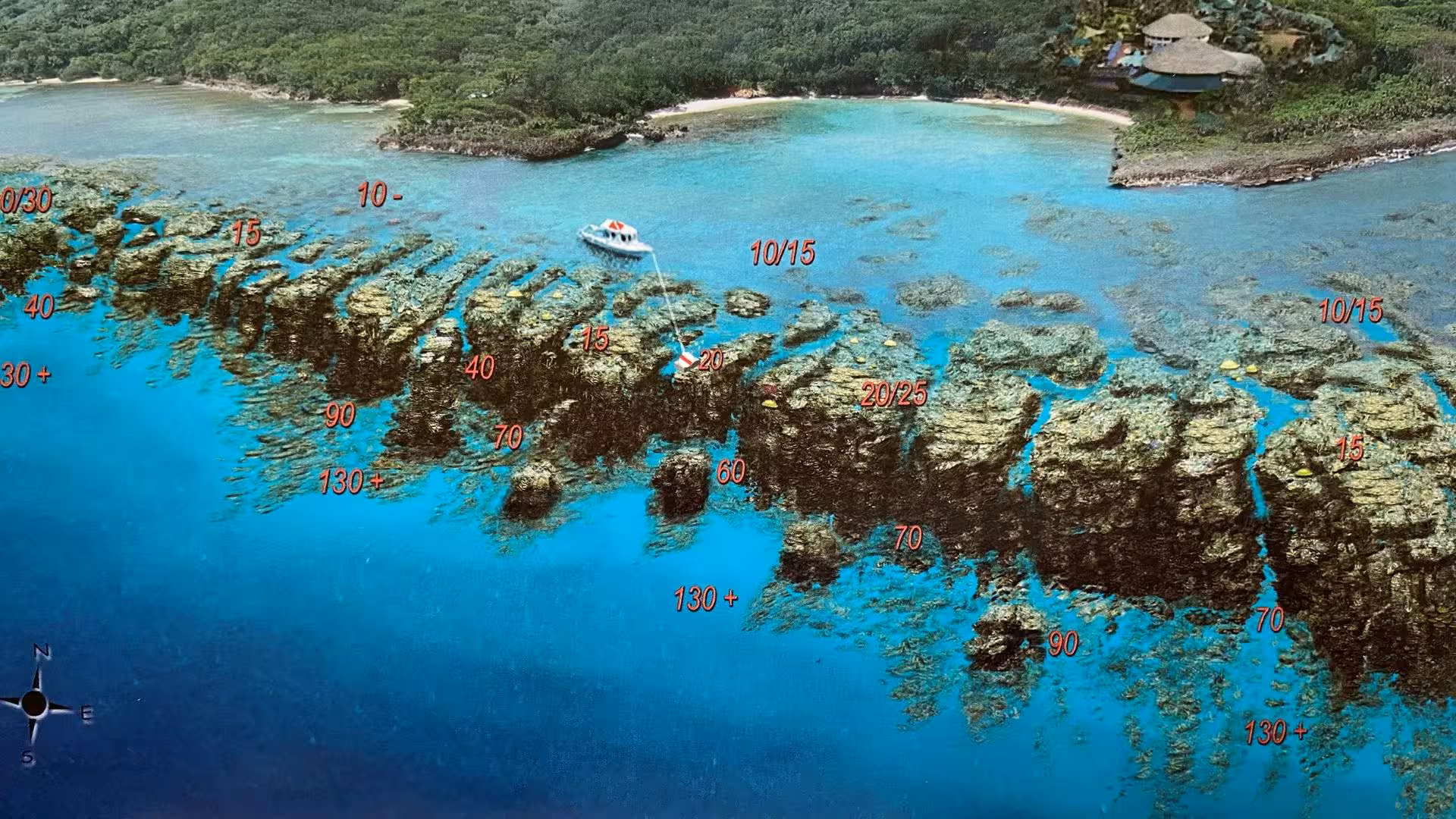 The Best All-Included Media Luna Day Pass of Roatan - The Bay Islands of Honduras Shore Snorkeling Dive Site