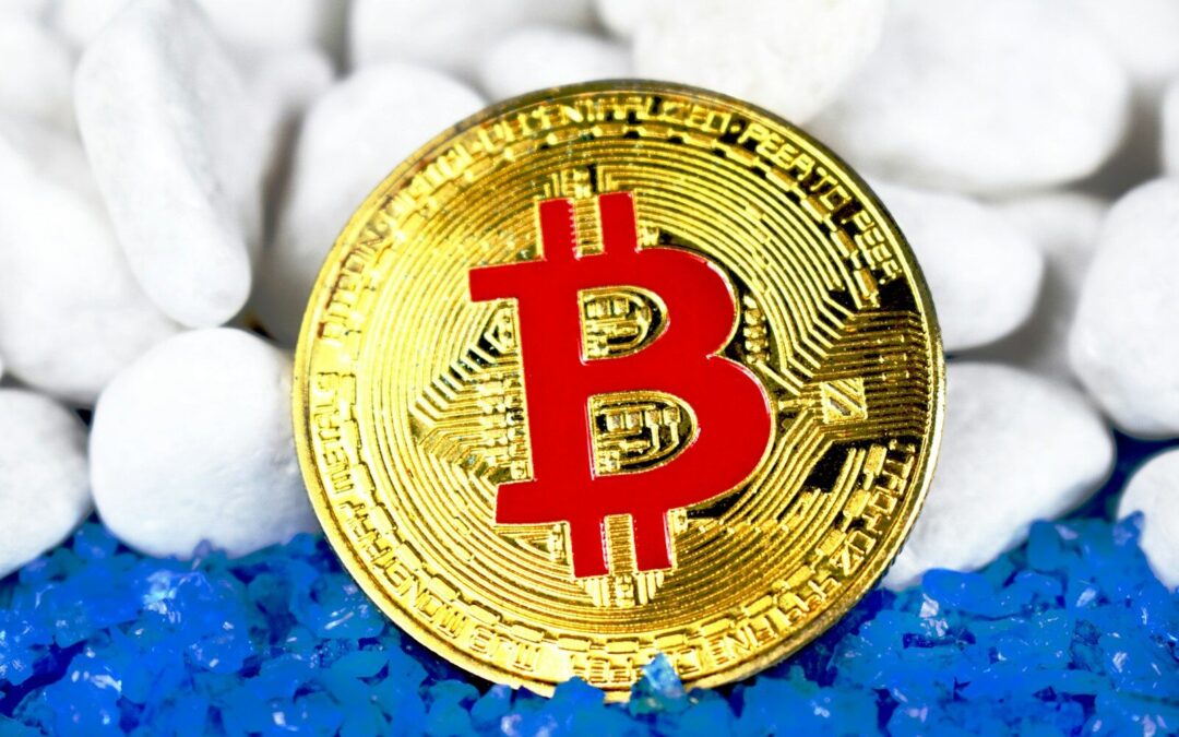 Roatan.Day Now Accepts Bitcoin — Powered by OpenNode