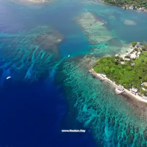 Pristine Bay - Palmetto Bay Tour - Options: Animal Parks ( Sloths, Macaw, Monkeys ) - Snorkeling - Island Brewery Co